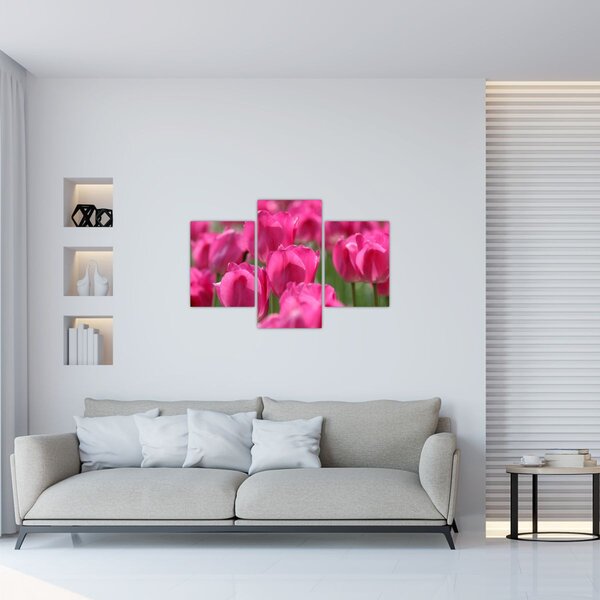 Slika - Ružičasti tulipani (90x60 cm)