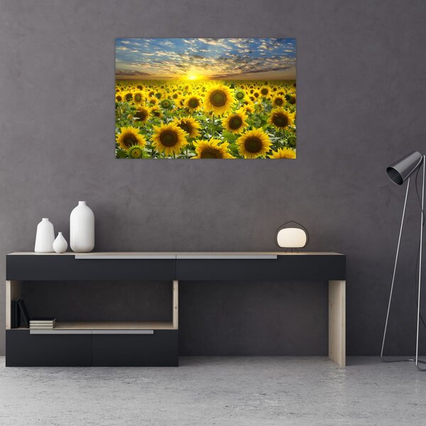 Slika - Suncokreti na zalasku sunca (90x60 cm)