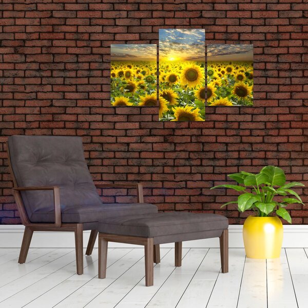 Slika - Suncokreti na zalasku sunca (90x60 cm)