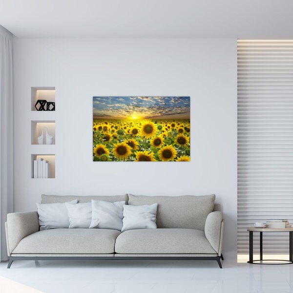 Slika - Suncokreti na zalasku sunca (90x60 cm)