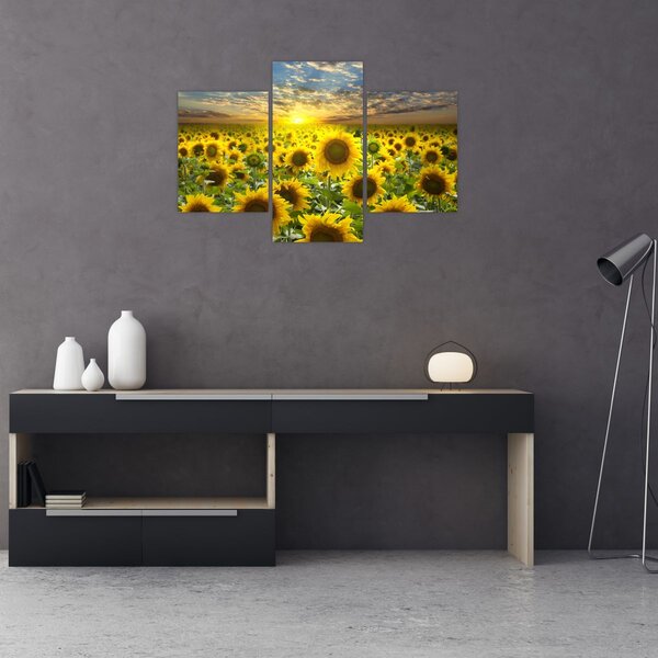 Slika - Suncokreti na zalasku sunca (90x60 cm)