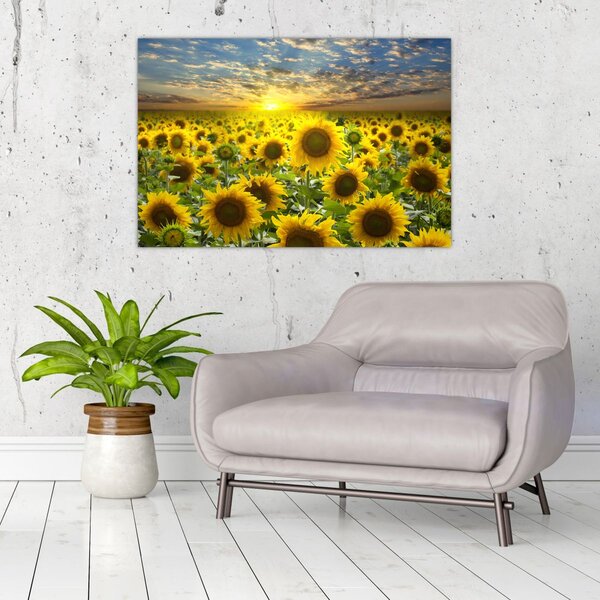 Slika - Suncokreti na zalasku sunca (90x60 cm)