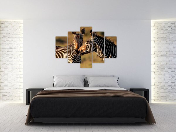 Slika - Dvije zebre (150x105 cm)