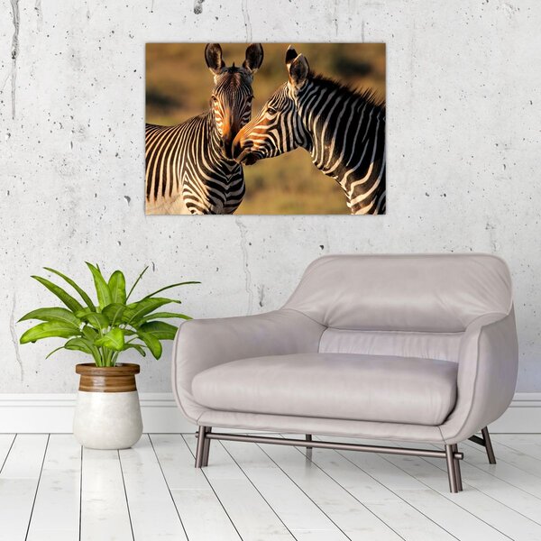 Slika - Dvije zebre (70x50 cm)