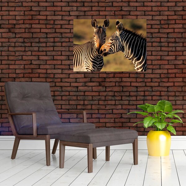 Slika - Dvije zebre (70x50 cm)