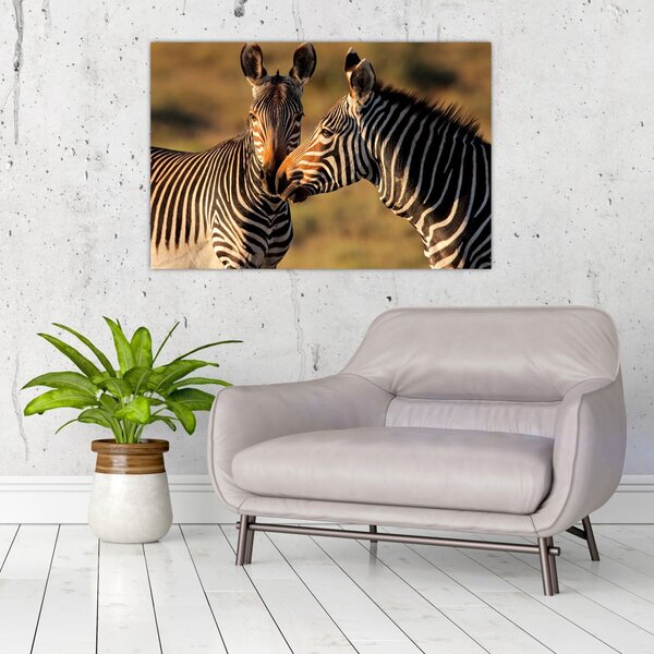 Slika - Dvije zebre (90x60 cm)