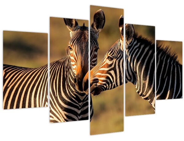 Slika - Dvije zebre (150x105 cm)