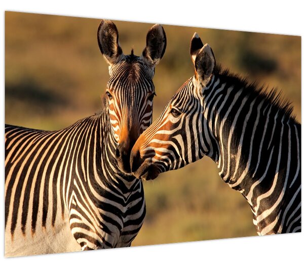 Slika - Dvije zebre (90x60 cm)