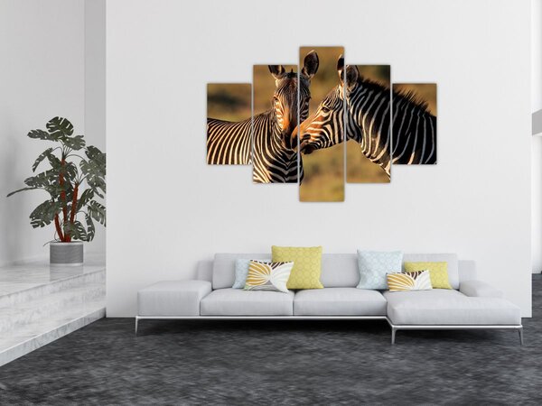 Slika - Dvije zebre (150x105 cm)