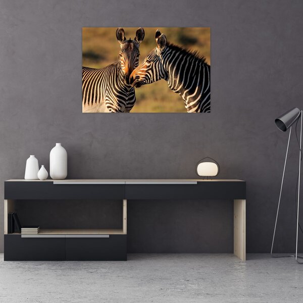 Slika - Dvije zebre (90x60 cm)