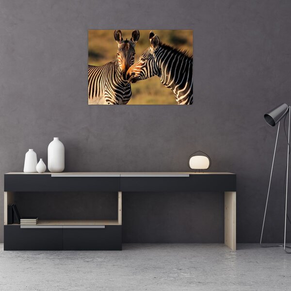 Slika - Dvije zebre (70x50 cm)