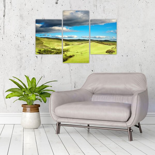 Slika - Zeleni krajolik s brdima (90x60 cm)