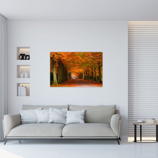 Slika - Avenija drveća u jesen (90x60 cm)