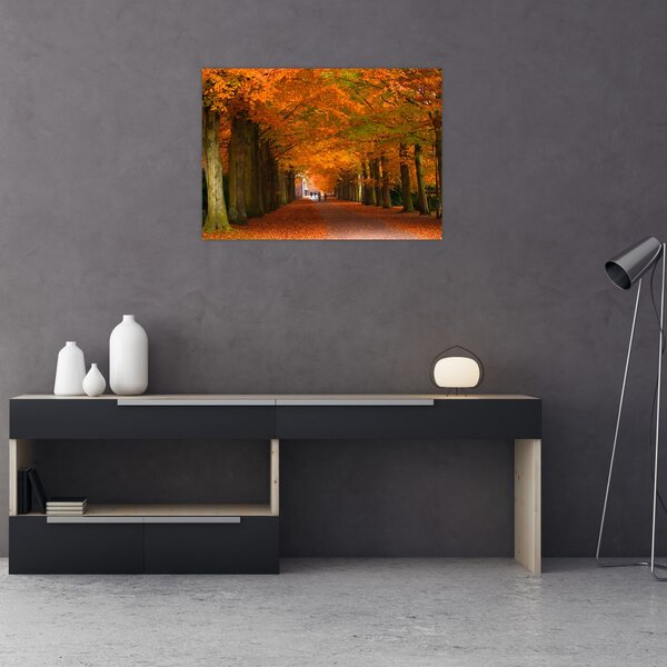 Slika - Avenija drveća u jesen (70x50 cm)