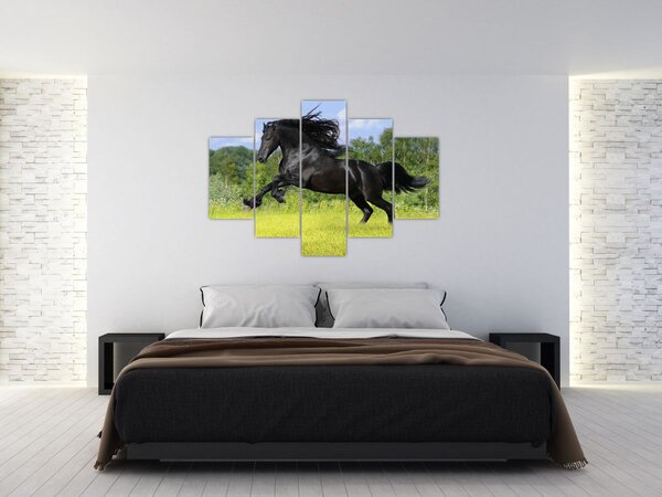 Slika - Konj s lepršavom grivom (150x105 cm)