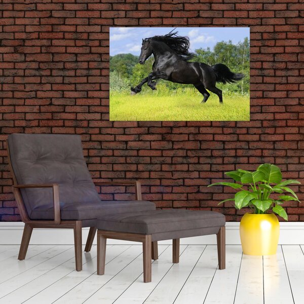 Slika - Konj s lepršavom grivom (90x60 cm)