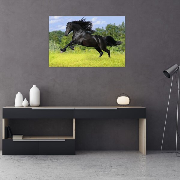 Slika - Konj s lepršavom grivom (90x60 cm)