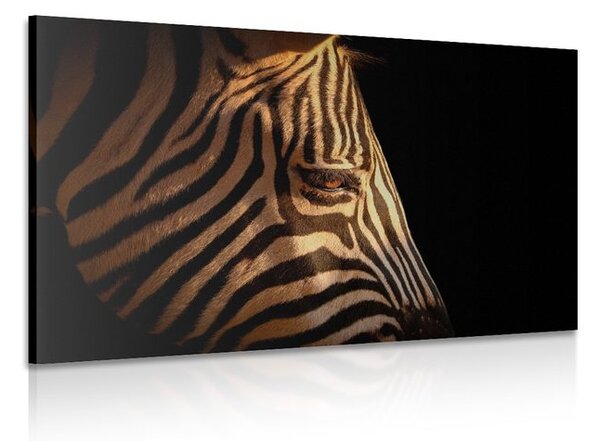 Slika portret zebre