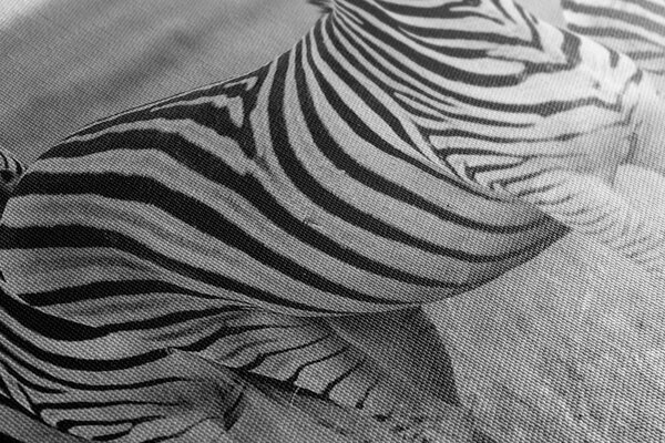 Slika tri zebre u savani u crno-bijelom dizajnu