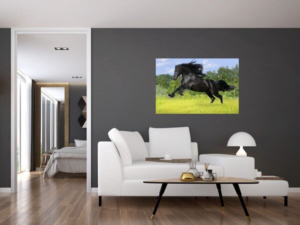 Slika - Konj s lepršavom grivom (90x60 cm)