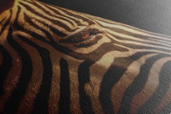 Slika portret zebre