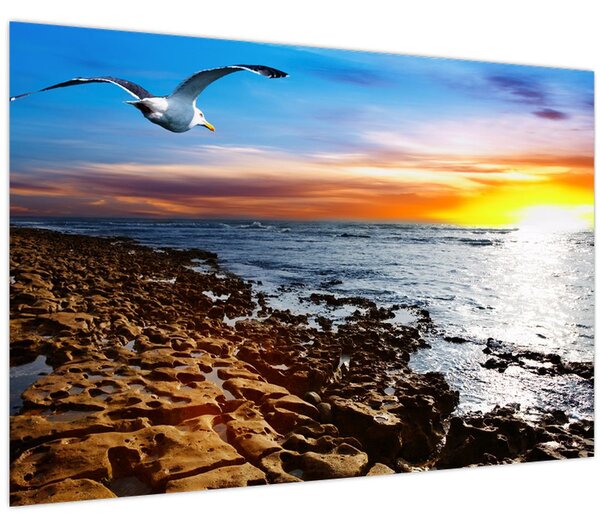 Slika - Galeb leti iznad obale (90x60 cm)