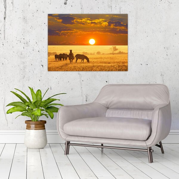 Slika - Zebre sa zalaskom sunca (70x50 cm)