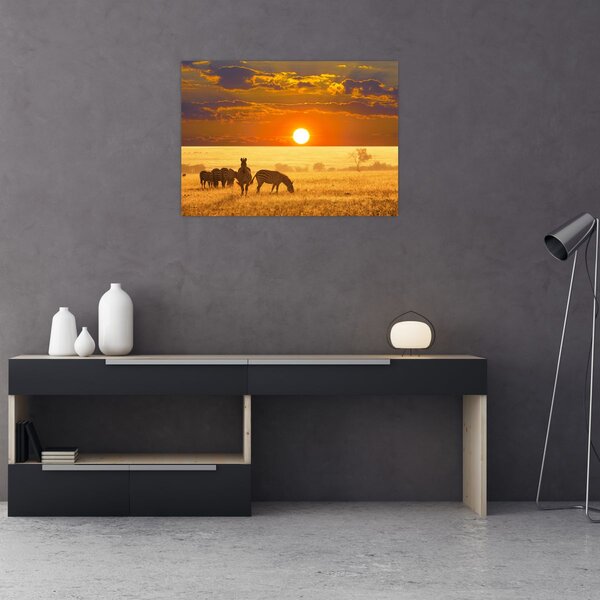 Slika - Zebre sa zalaskom sunca (70x50 cm)