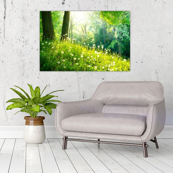 Slika - Čarobna livada puna maslačaka (90x60 cm)