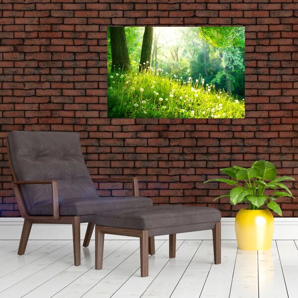 Slika - Čarobna livada puna maslačaka (90x60 cm)