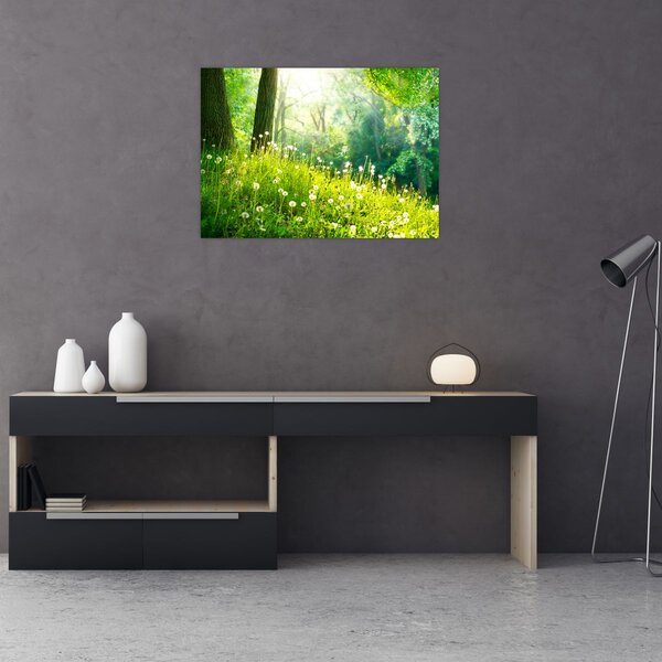 Slika - Čarobna livada puna maslačaka (70x50 cm)