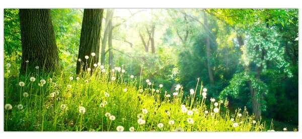 Slika - Čarobna livada puna maslačaka (120x50 cm)