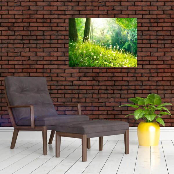 Slika - Čarobna livada puna maslačaka (70x50 cm)