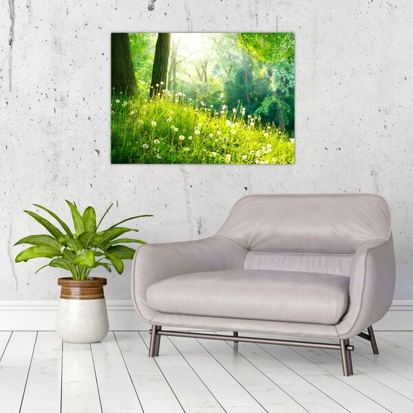 Slika - Čarobna livada puna maslačaka (70x50 cm)