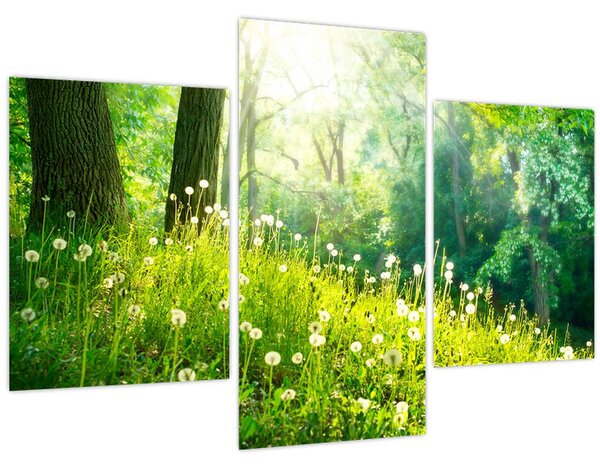 Slika - Čarobna livada puna maslačaka (90x60 cm)