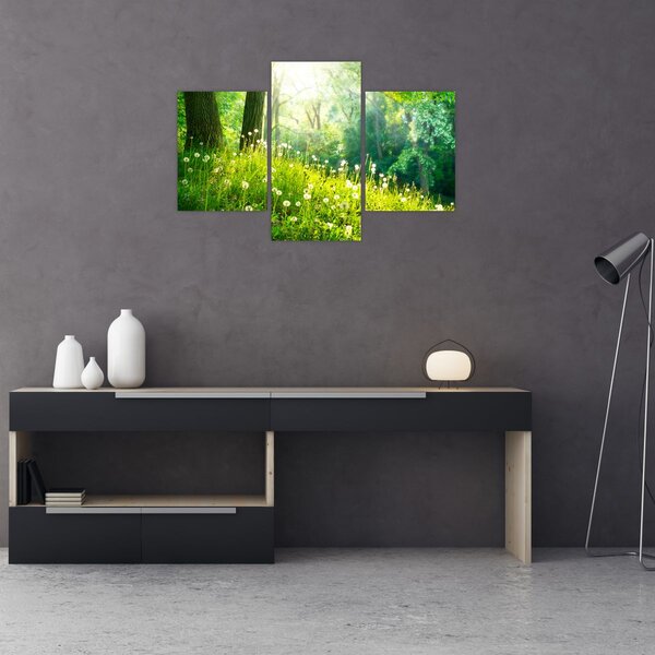 Slika - Čarobna livada puna maslačaka (90x60 cm)
