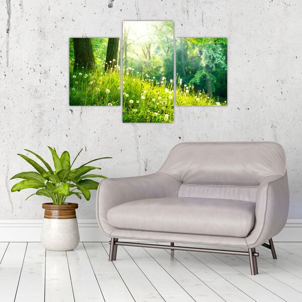 Slika - Čarobna livada puna maslačaka (90x60 cm)