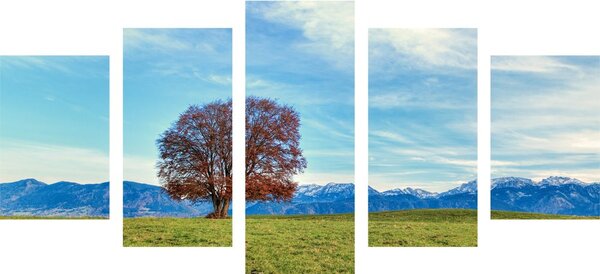 5-dijelna slika panorama planina