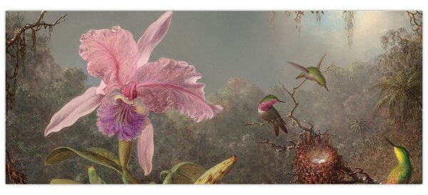 Slika - Martin Johnson Heade, Cattleya Orchid and Three Hummingbirds, reprodukcije (120x50 cm)