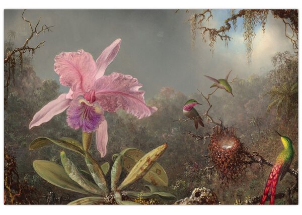 Slika - Martin Johnson Heade, Cattleya Orchid and Three Hummingbirds, reprodukcije (90x60 cm)