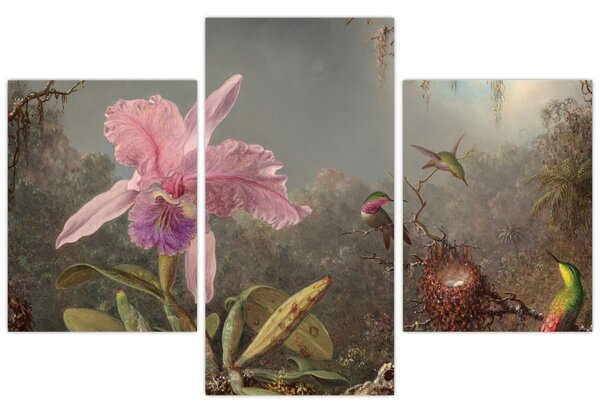 Slika - Martin Johnson Heade, Cattleya Orchid and Three Hummingbirds, reprodukcije (90x60 cm)