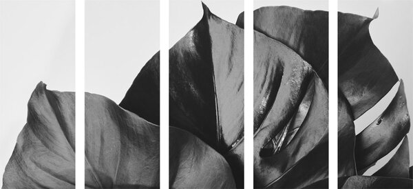 5-dijelna slika crno-bijeli list monstere