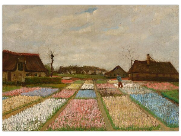 Slika - Vincent van Gogh, Flower Beds in Holland, reprodukcije (70x50 cm)