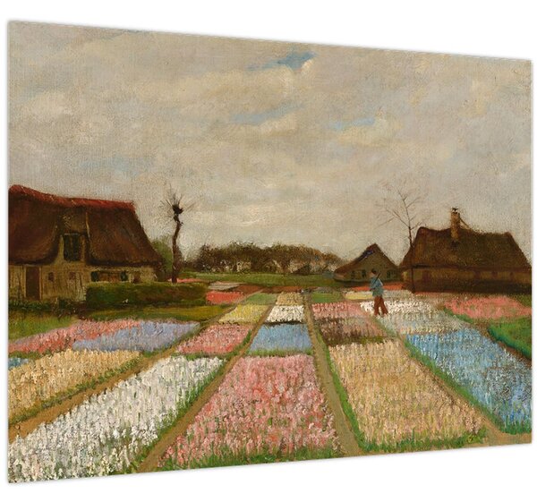 Slika - Vincent van Gogh, Flower Beds in Holland, reprodukcije (70x50 cm)