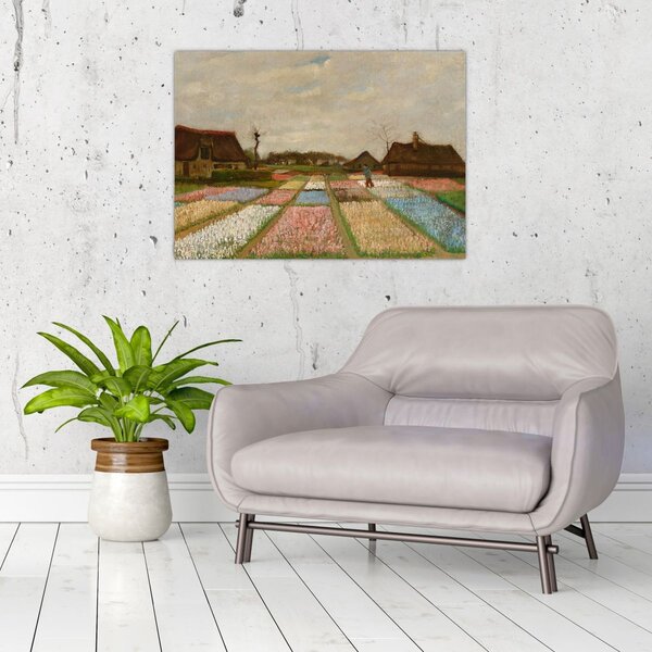 Slika - Vincent van Gogh, Flower Beds in Holland, reprodukcije (70x50 cm)