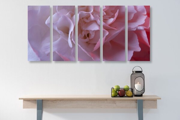 5-dijelna slika latice karanfila