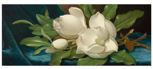 Slika - Martin Johnson Heade, Giant Magnolias on a Blue Velvet Cloth, reprodukcije (120x50 cm)