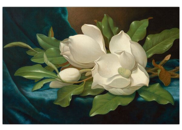 Slika - Martin Johnson Heade, Giant Magnolias on a Blue Velvet Cloth, reprodukcije (90x60 cm)