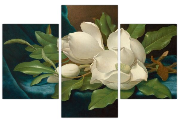 Slika - Martin Johnson Heade, Giant Magnolias on a Blue Velvet Cloth, reprodukcije (90x60 cm)