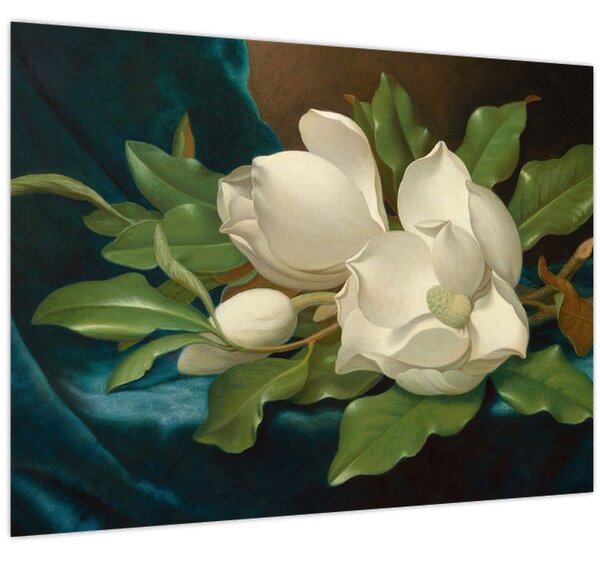 Slika - Martin Johnson Heade, Giant Magnolias on a Blue Velvet Cloth, reprodukcije (70x50 cm)